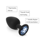 Silicone Anal Plug & Bullet Vibrator Set