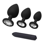 Silicone Anal Plug & Bullet Vibrator Set