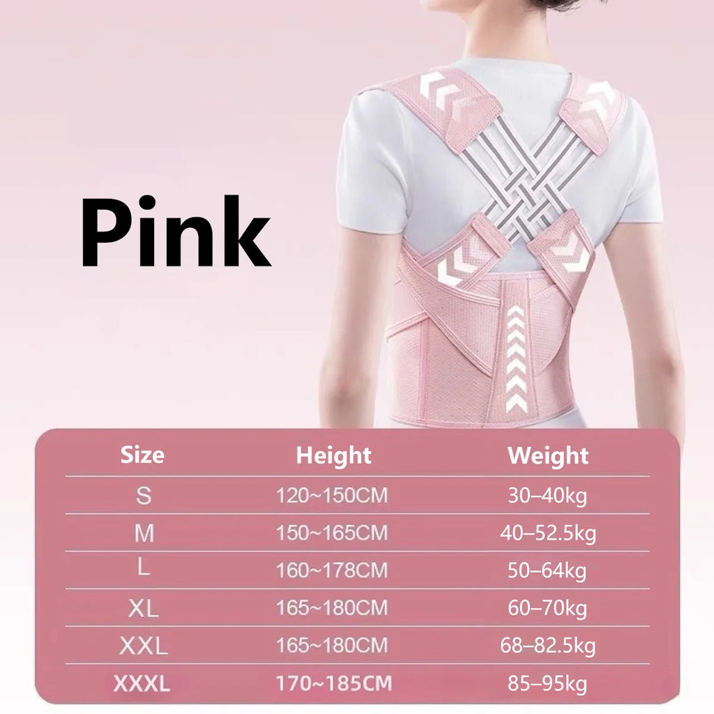 Posture Corrector & Waist Trainer Belt – Men & Women