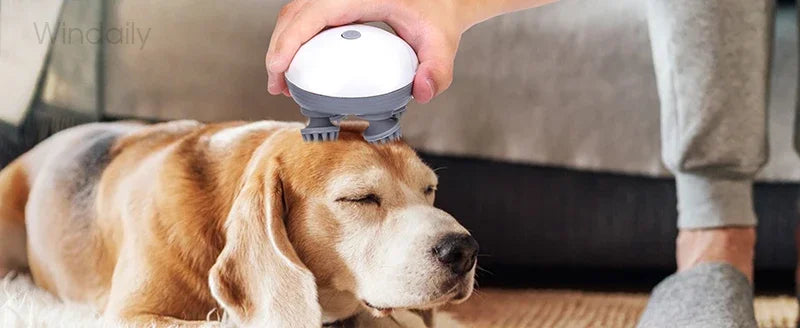 Electric Scalp & Body Massager – Deep Tissue Kneading