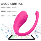 APP Controlled Vibrators