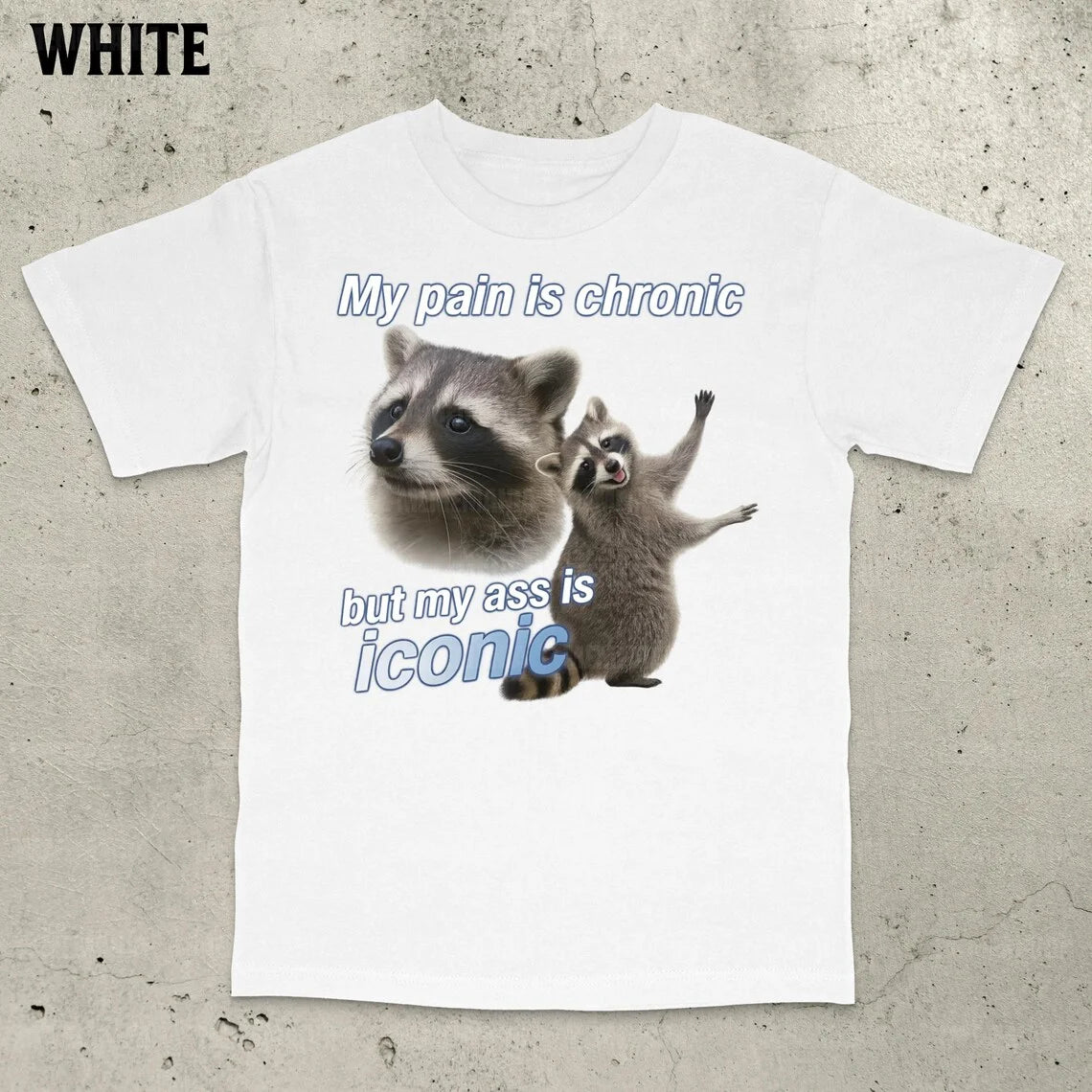 "My Pain Is Chronic But My Ass Is Iconic" Funny Raccoon Meme T-Shirt — Y2K Vintage Raccoon Tee